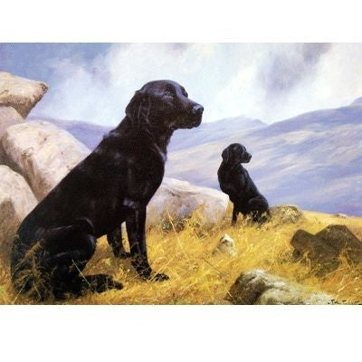 Labrador Retriever Blank Greeting Cards-6 Pk 5 x 7