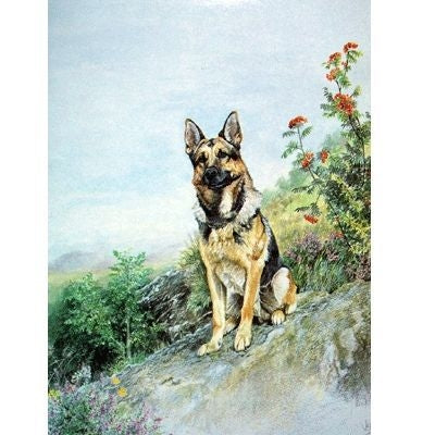 German Shepherd Blank Greeting Cards - 6 Pk 5 x 7