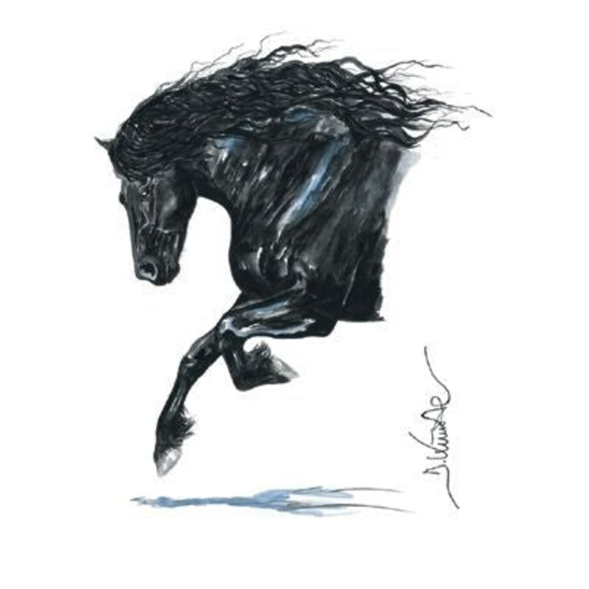 Onyx Friesian By Jan Kunster 19.75 x 27.5