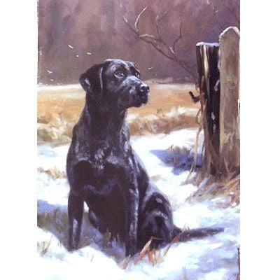 Labrador Retriever Blank Greeting Cards-6 Pk 5 x 7