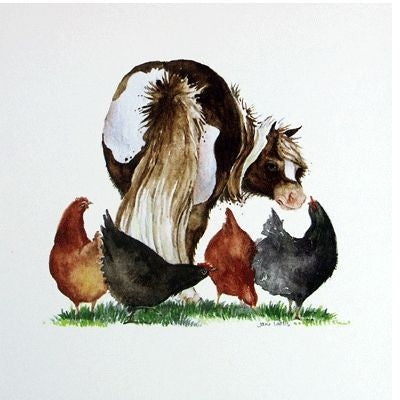 Pecking Order Blank Greeting Cards - 6 Pack 6 x 6