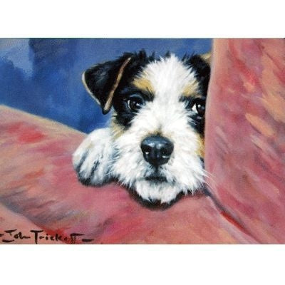 Jack Russell Blank Greeting Cards - 6 Pack 5 x 7