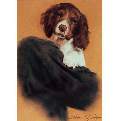 English Springer Blank Greeting Cards-6 Pack 5 x 7