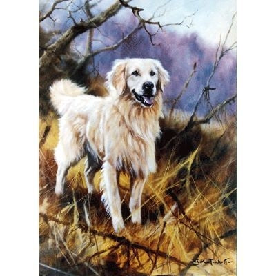 Golden Retriever Blank Greeting Cards - 6 Pk 5 x 7