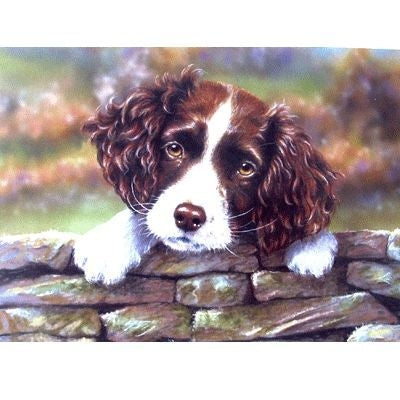 English Springer Blank Greeting Cards - 6 Pack 5x7