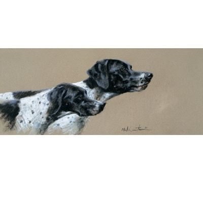 Points of View By Mick Cawston 9.5 x 4