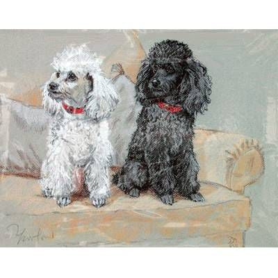 Poodles By: David Thompson, Matted 12.75 x 10.75