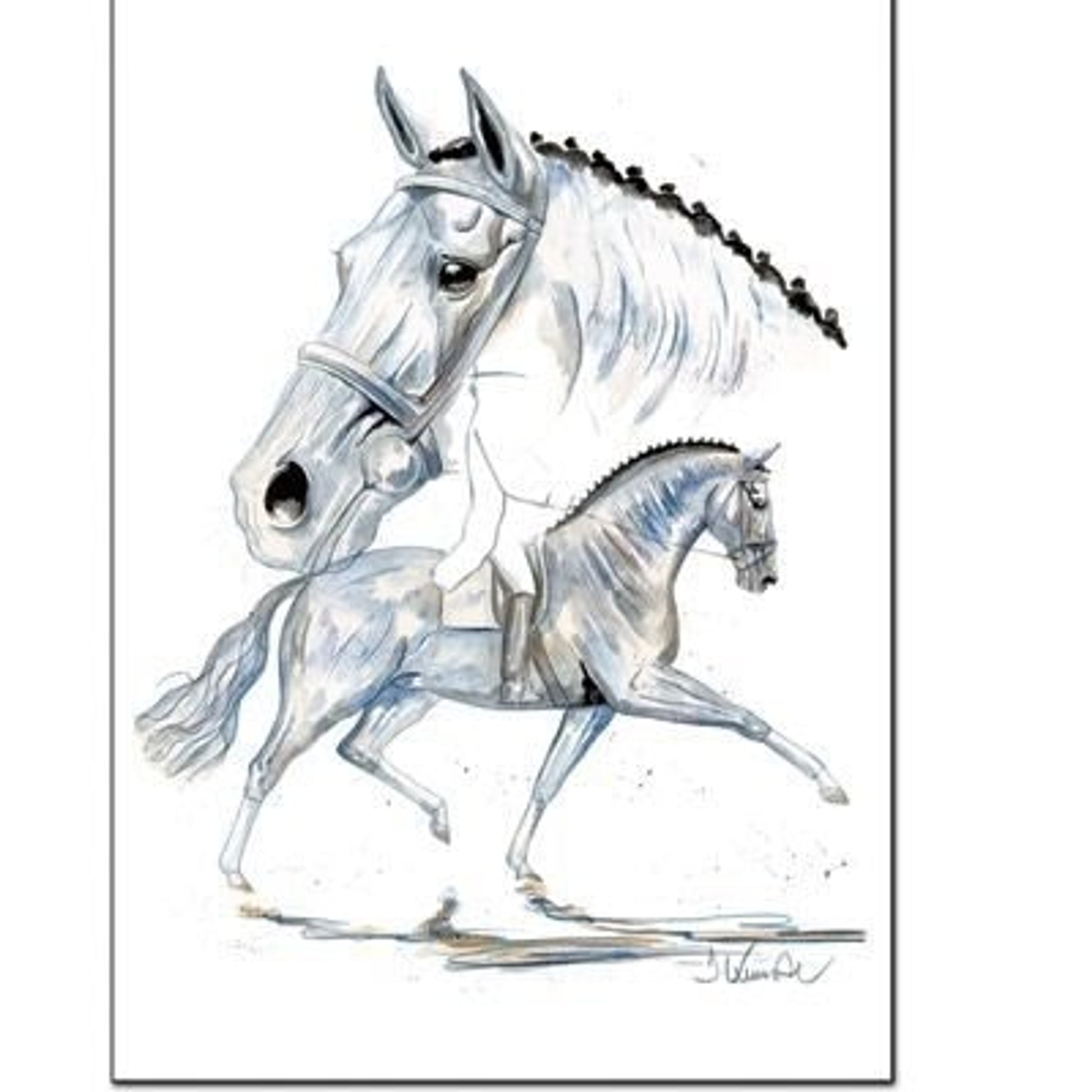 Porto Fino Dressage By Jan Kunster 19.75 x 27.5