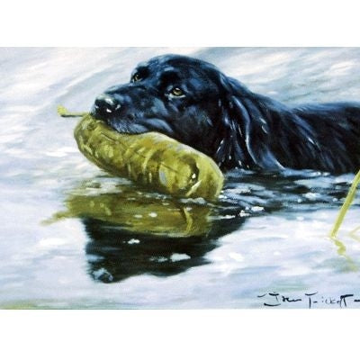 Labrador Retriever Blank Greeting Cards-6 Pack 5x7