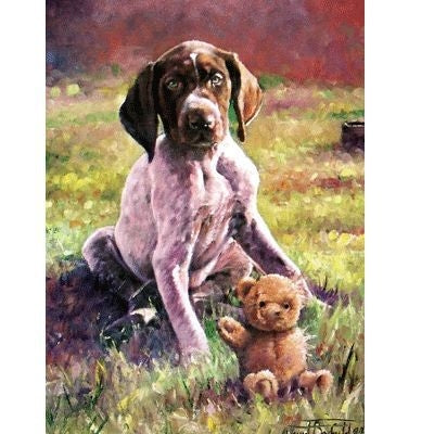 German Shorthair Pointer Greeting Card-6 Pk 5 x 7