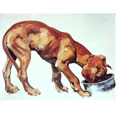 Great Dane Blank Greeting Cards - 6 Pack 5 x 7