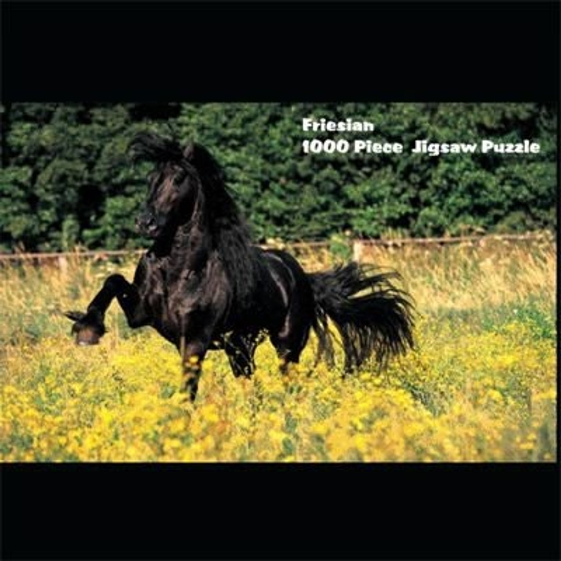 Puzzle - Friesian