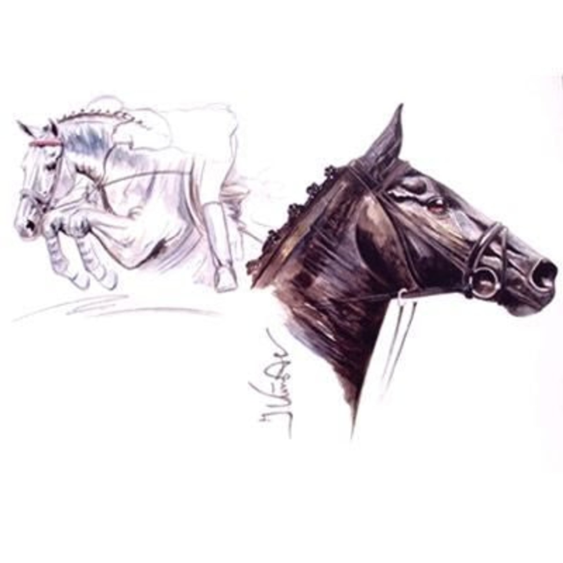Rapido Show Jumper By Jan Kunster 19.75 x 27.5