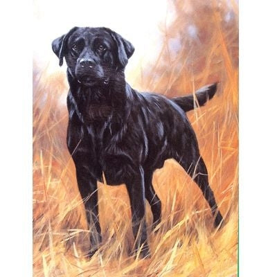 Labrador Retriever Blank Greeting Cards-6 Pk 5 x 7