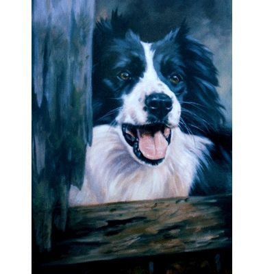 Border Collie Blank Greeting Cards - 6 Pack 5x7
