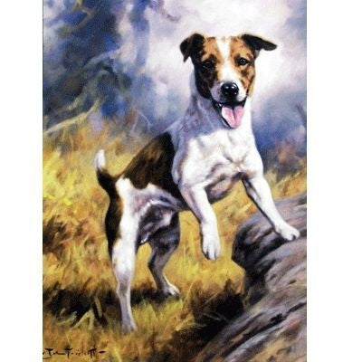 Jack Russell Blank Greeting Cards - 6 Pack 5 x 7