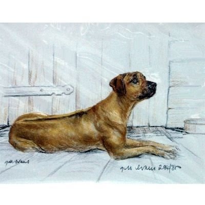 Rhodesian Ridgeback Matted 12.75 x 10.75
