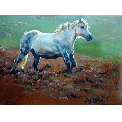 Romping Along Blank Greeting Cards - 6 Pack 5 x 7
