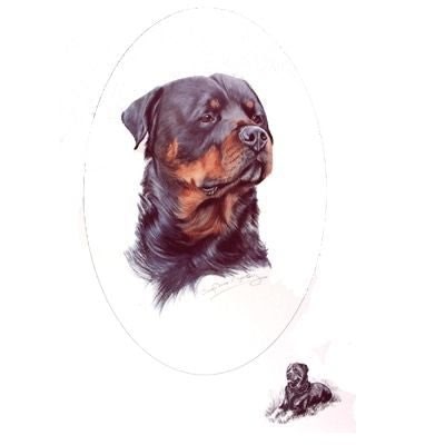 Rottweiler by Josephine Copley 9 x 12.5