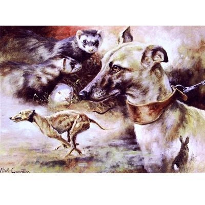 Running Mates Greyhound Blank Cards 6 Pack 5 x 7