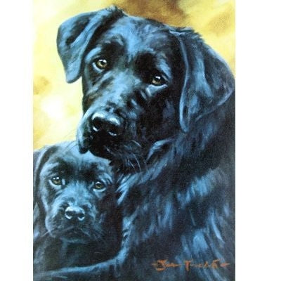 Safe and Secure Labrador Retriever Cards 6Pk 5x7