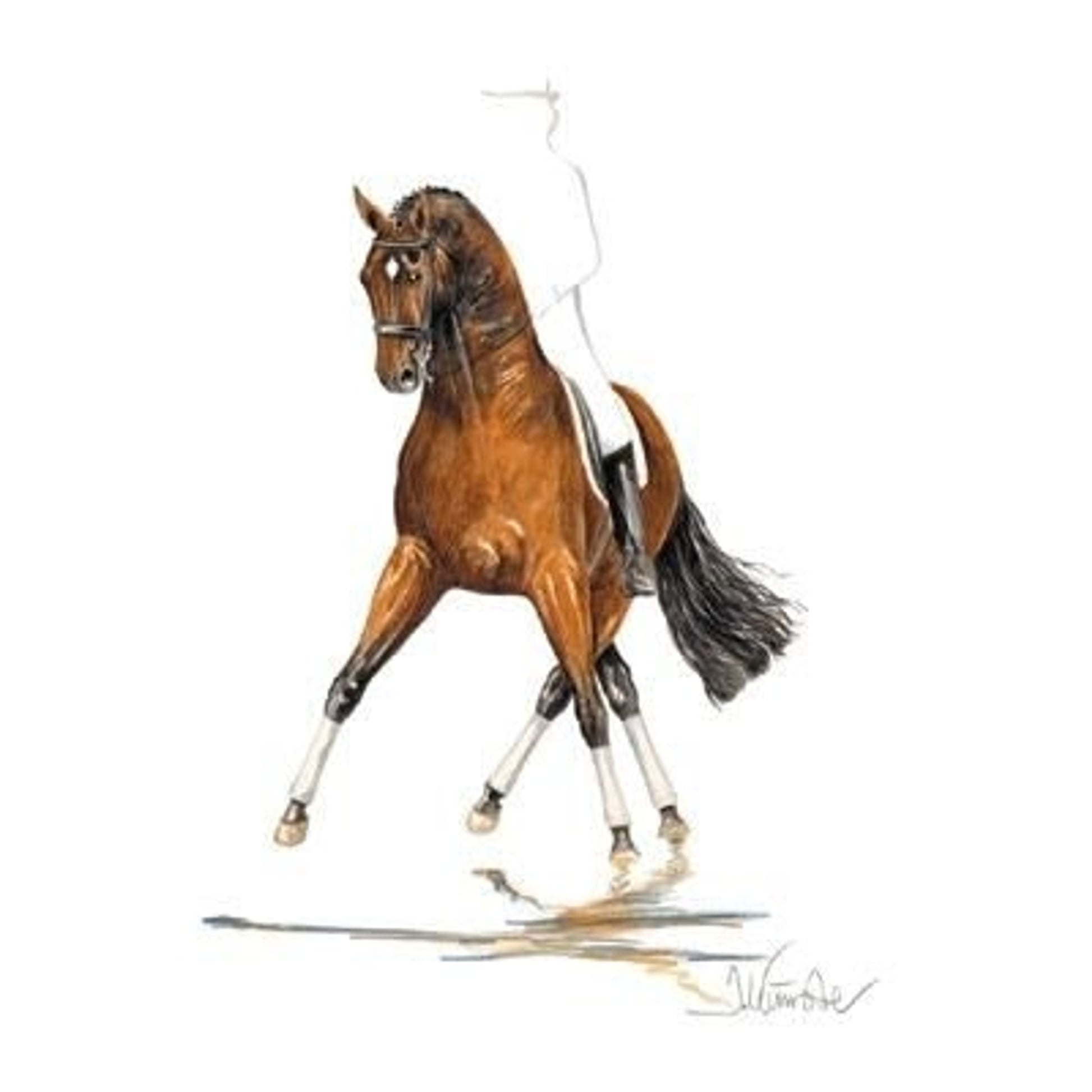 San Diego Dressage By Jan Kunster 7.75x11.75