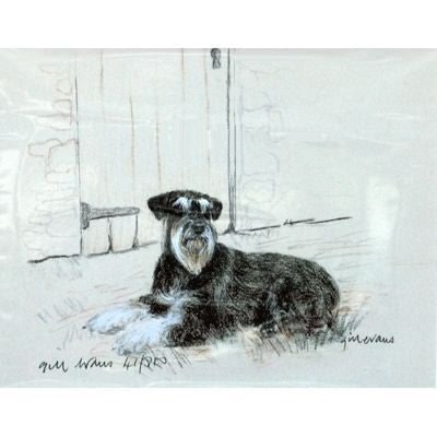 Schnauzer By Gill Evans Matted 12.75x10.75