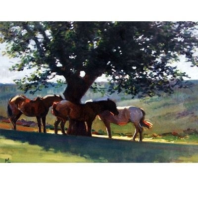 Shady Days Blank Greeting Cards - 6 Pack 5 x 7 Red