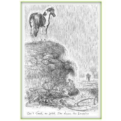 Shell Thank Me Later Greeting Card Pack of 6 Brn