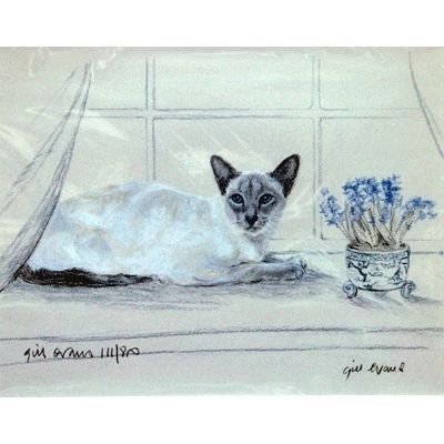 Siamese Cat By Gill Evans 12 3/4in x 10 3/4in
