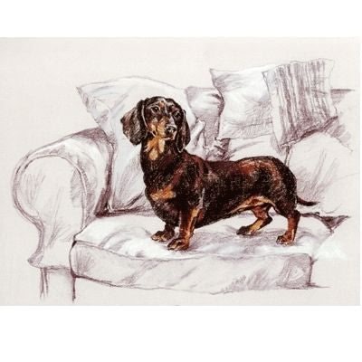 Smooth Dachshund By David Thompson 12.75 x 10.75