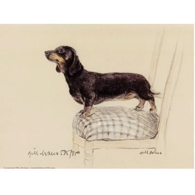 Smooth Dachshund By Gill Evans 12.75 x 10.75