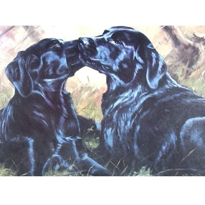 Special Friends Labrador Retriever Cards 6Pk 5x7