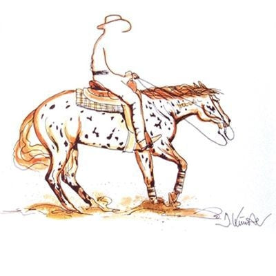 Spin Western Reining