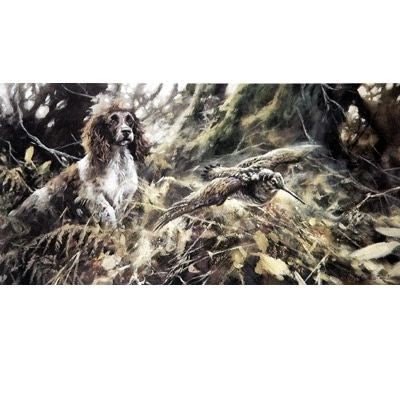 Springer and Woodcock By Mick Cawston 7.5 x 3.75