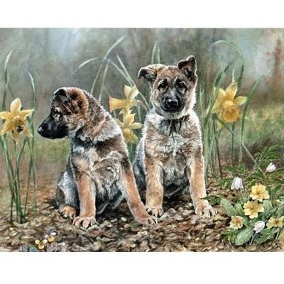 Springtime By Jo Campin 12.5 x 9.75