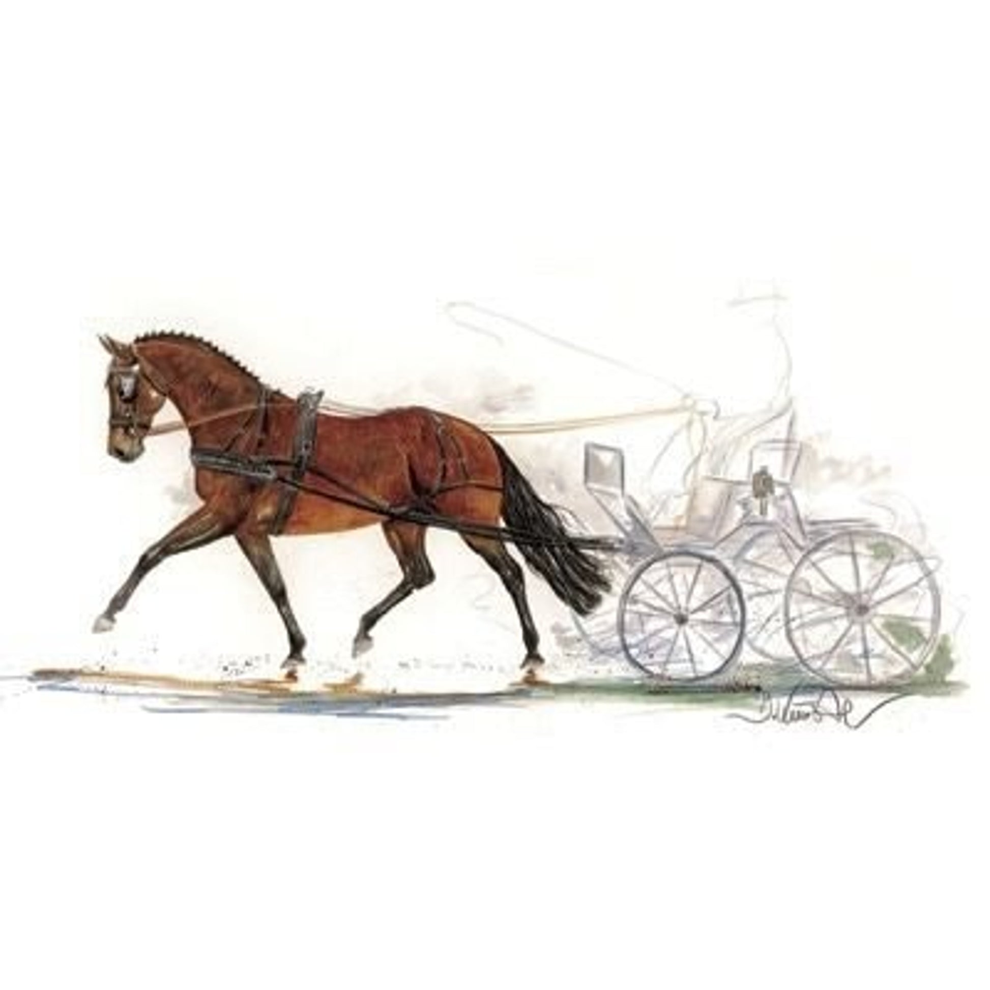 Stefano Driving By Jan Kunster 19.75 x 27.5