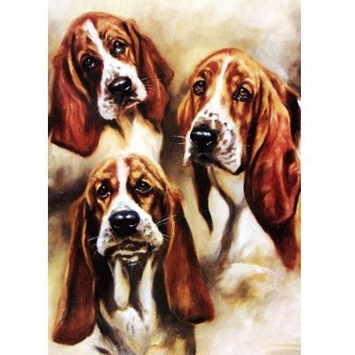 Studies of a Basset Hound Blank Cards 6 Pack 5 x 7