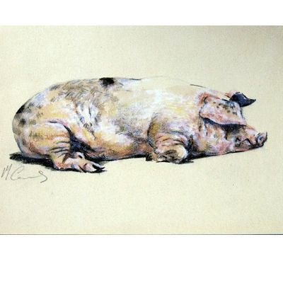 Sweet Dreams Pig Blank Cards 6 Pack 5 x 7