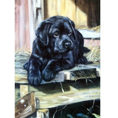 Taking a Break Labrador Retriever Cards 6 Pk 5 x 7