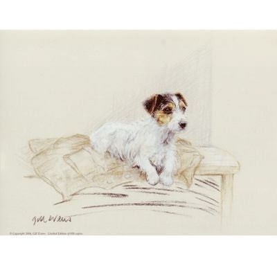 Terrier on Jacket By Gill Evans 12.75x10.75