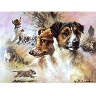 Terriers Jack Russell Blank Cards 6 Pk 5 x 7