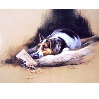 Thats Torn It Jack Russell Blank Cards 6 Pk 5 x 7