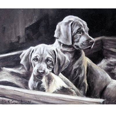 Thats Torn It By Mick Cawston 7.25 x 6