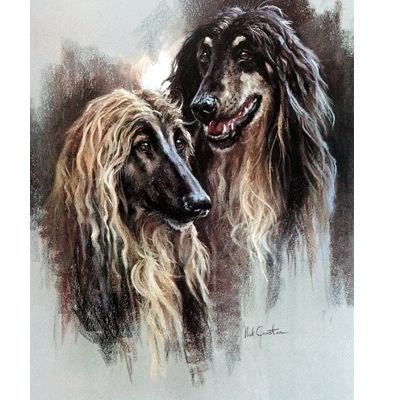 The Afghan By Mick Cawston 9 5/8 x 12
