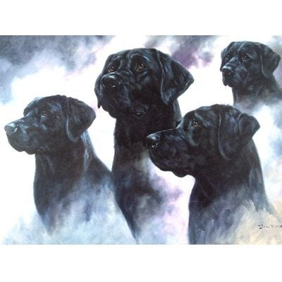 The Black Lab Labrador Retriever Cards 6 Pk 5 x 7