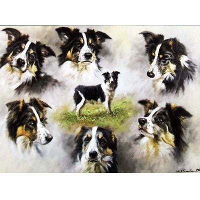 The Border Collie Blank Cards 6 Pk 5 x 7
