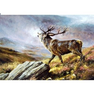 The Challenge Deer Blank Cards 6 Pk 5 x 7
