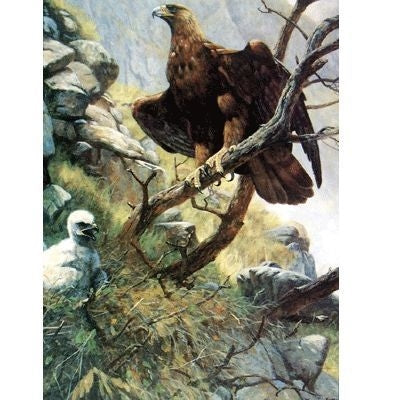 The Eagle Eyrie Blank Cards 6 Pk 5 x 7