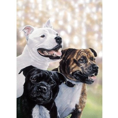 The Gang Staffordshire Terriers Cards 6 Pk 5 x 7